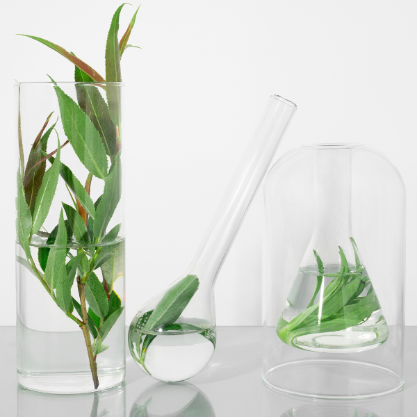 Science Meets Nature